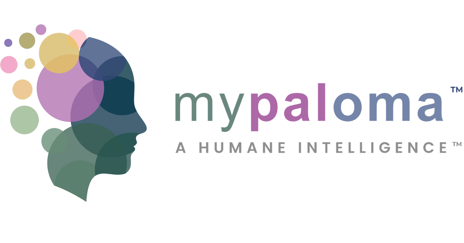 mypaloma.ai